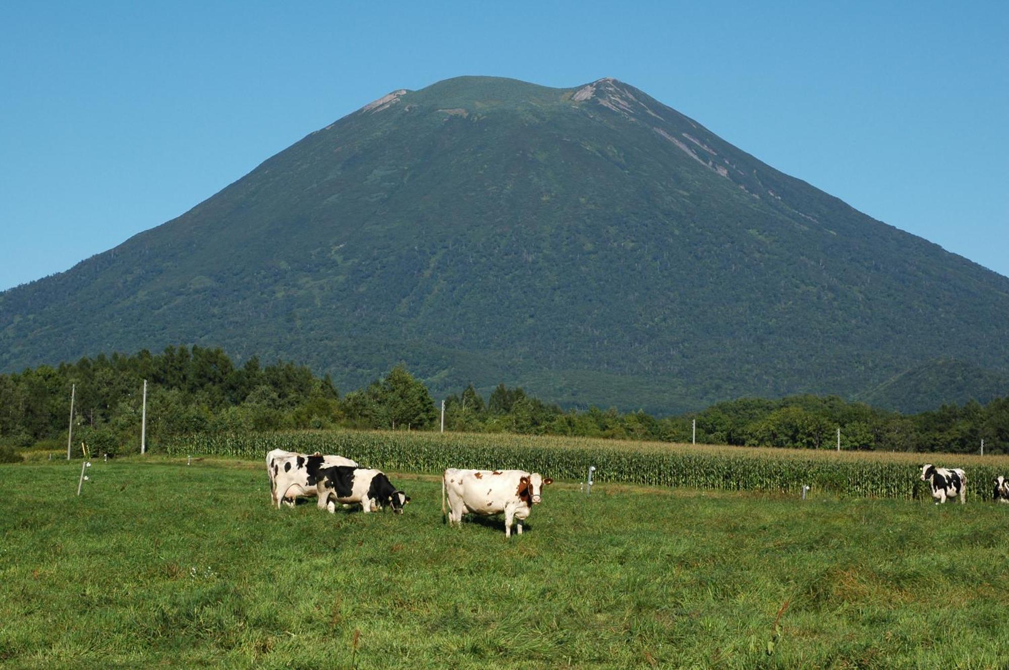 Niseko Highland Cottages Eksteriør bilde